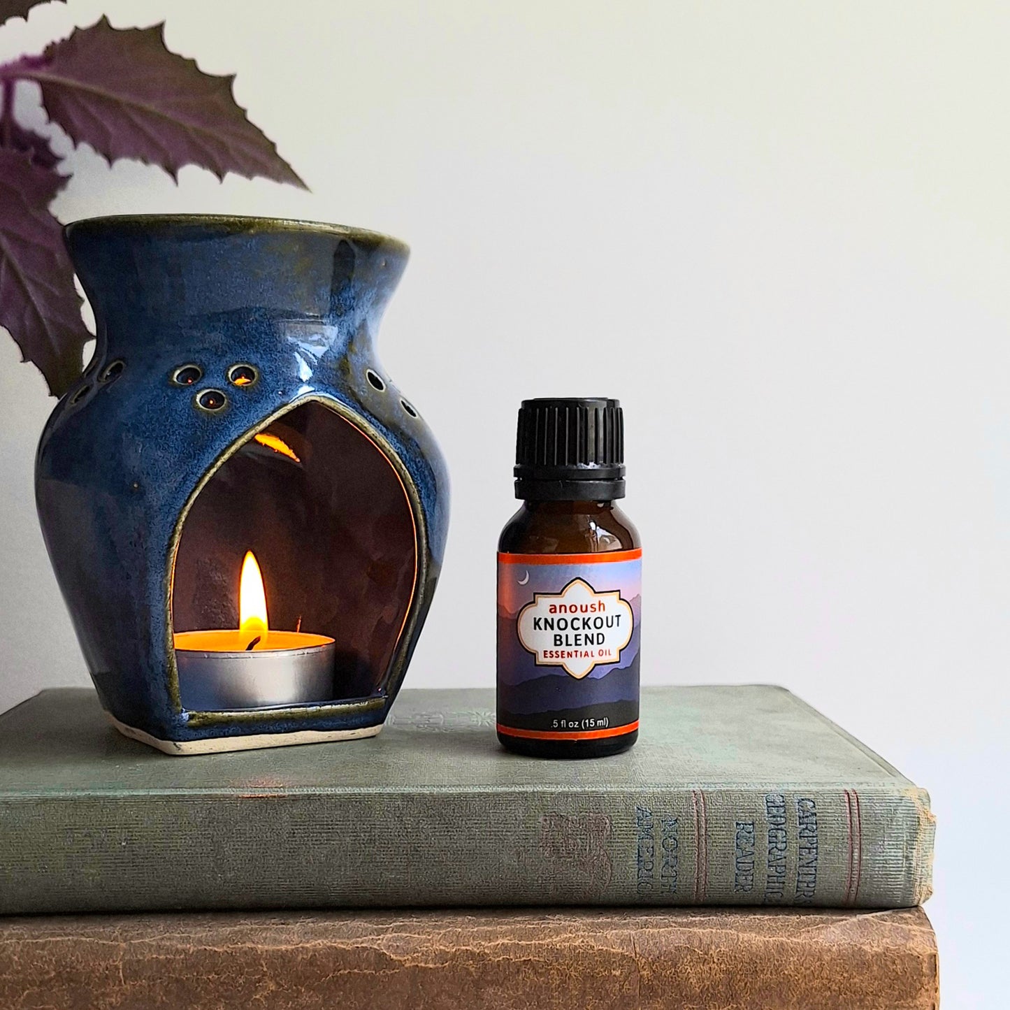 Knockout Blend Diffuser Oil