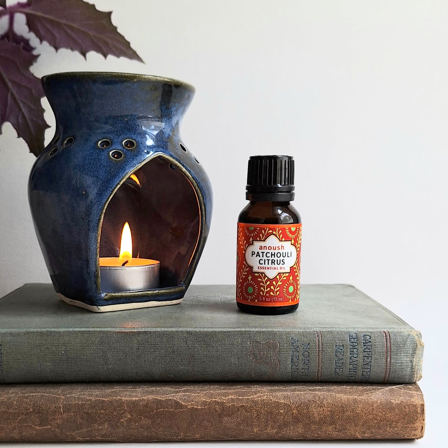 Patchouli Citrus Diffuser Blend